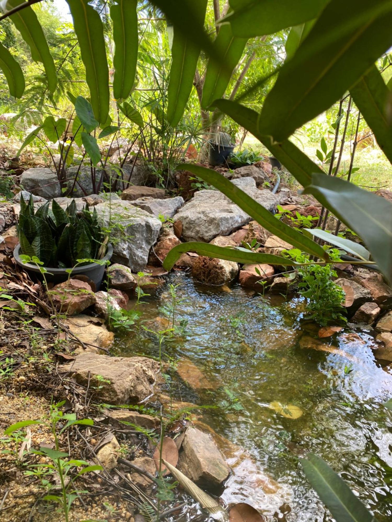 Royal Mountain View Villa Ratchaburi Eksteriør billede